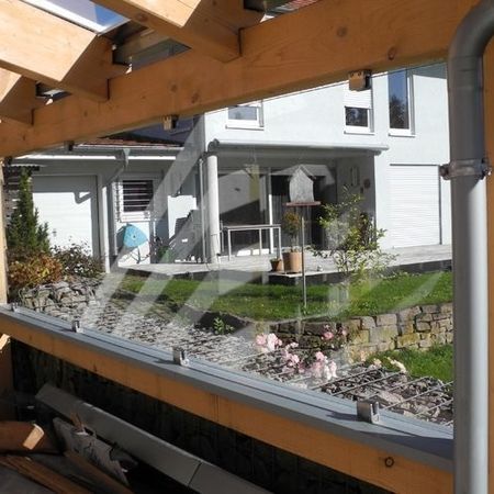 Fenster, Türen und noch viel mehr